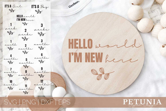 Baby Milestones SVG | Baby Monthly Milestones SVG Bundle SVG Petunia Digital Design 