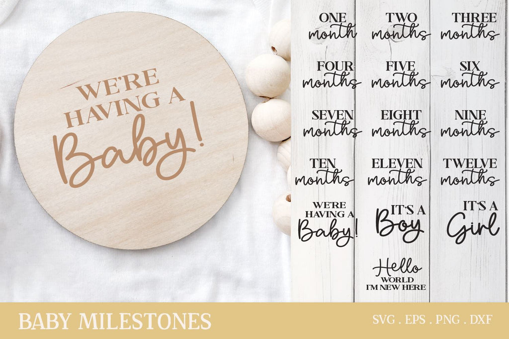 Baby Milestones SVG Bundle | Milestone First Baby Year - So Fontsy