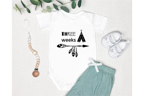 Baby Milestones SVG Bundle. Monthly Milestones Bundle SVG Olga Terlyanskaya 