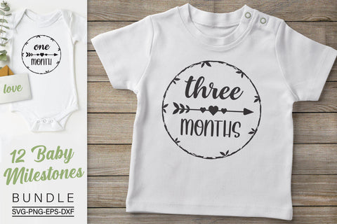 Baby Milestones Svg Bundle, Monthly Milestones Svg, Newborn Svg SVG SvgMonkeys 