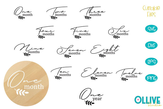 Baby Milestones SVG Bundle SVG Ollive Studio 