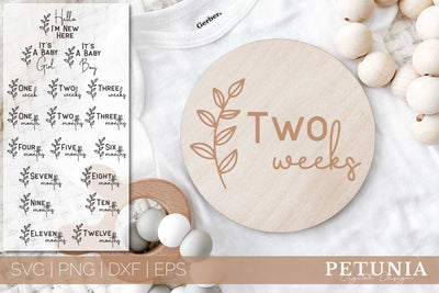 Baby Milestones SVG | Floral Baby Monthly Milestone SVG SVG Petunia Digital Design 