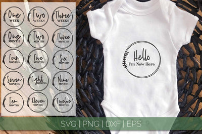Baby Milestones SVG | Monthly Milestones SVG SVG Petunia Digital Design 