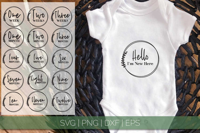 Baby Milestones SVG | Monthly Milestones SVG SVG Petunia Digital Design 