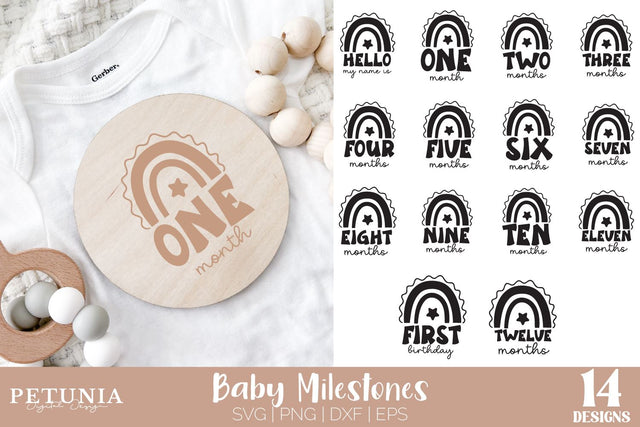 Baby Month Milestones Bundle | Baby Milestones SVG Petunia Digital Design 
