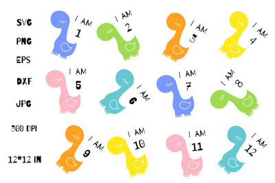 Baby Monthly Milestone SVG. Baby Cute Dinosaur SVG Bundle. SVG Olga Terlyanskaya 