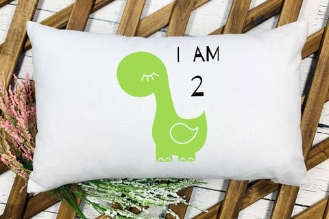 Baby Monthly Milestone SVG. Baby Cute Dinosaur SVG Bundle. SVG Olga Terlyanskaya 
