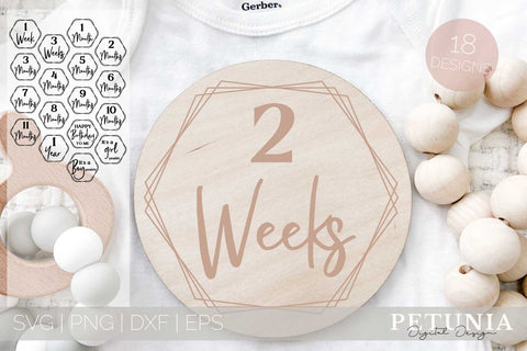 Baby Monthly Milestones Svg | Baby Milestone SVG Petunia Digital Design 