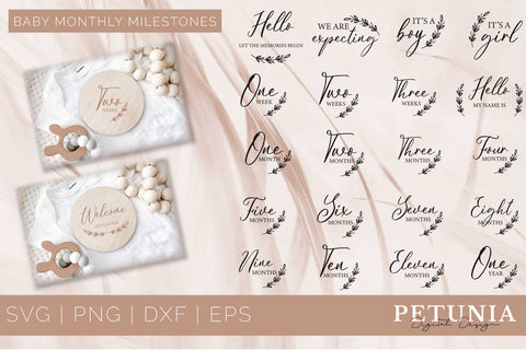 Baby Monthly Milestones Svg | Baby Milestone SVG Petunia Digital Design 