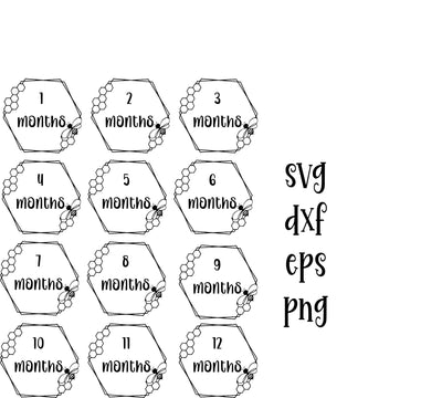 Baby months/milestones Bees SVG Calico Creations Svg 