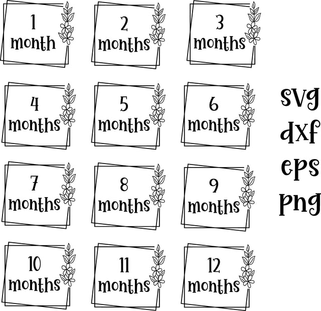 Baby months/milestones Flower SVG Calico Creations Svg 
