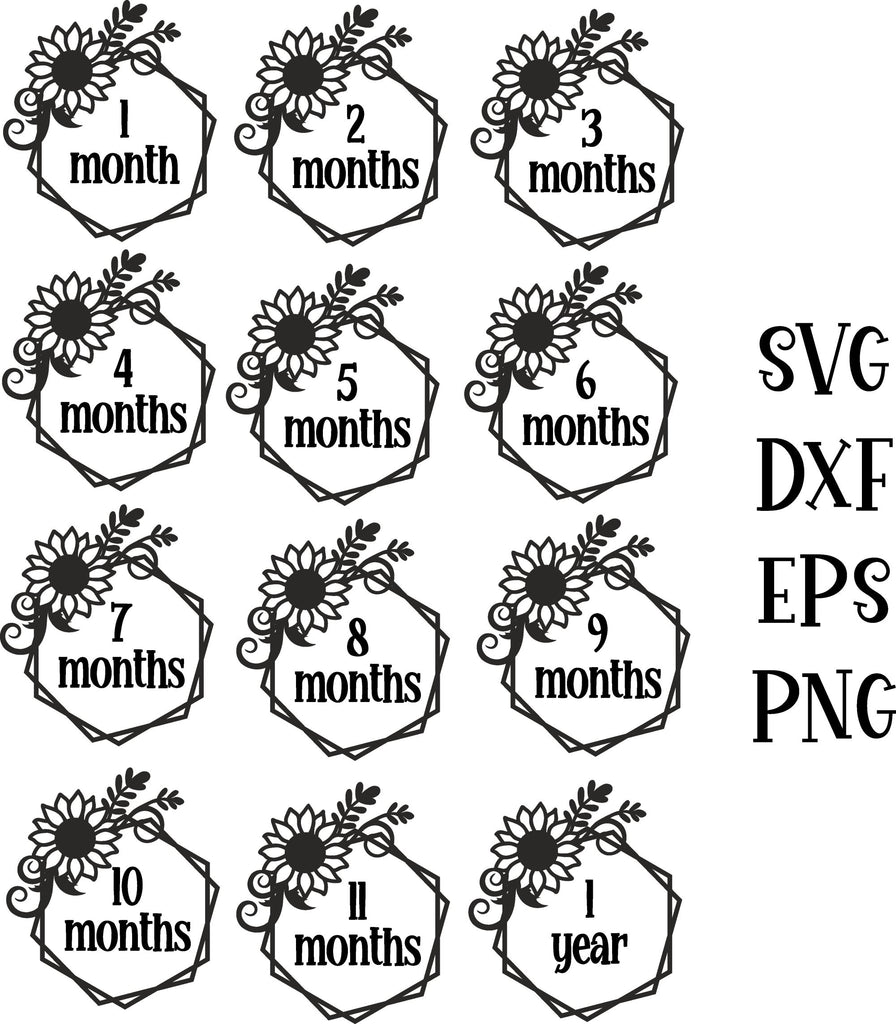 Baby months/milestones Sunflower So Fontsy