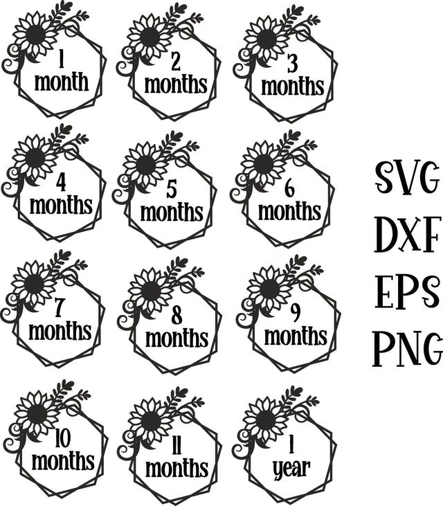 Baby months/milestones Sunflower SVG Calico Creations Svg 