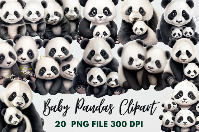 Baby Pandas Clipart White Bundle Sublimation Regulrcrative 