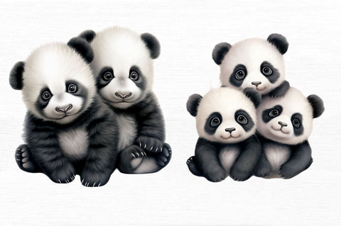 Baby Pandas Clipart White Bundle Sublimation Regulrcrative 