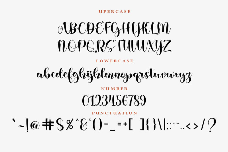 Baby Party - Beautiful Script Font - So Fontsy