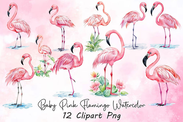 Baby Pink Flamingo Watercolor Clipart Sublimation Rupkotha 