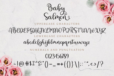 Baby Salmon Script Font Zane Studio55 