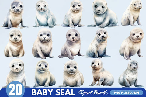 Baby Seal Watercolor Sublimation Clipart Sublimation Regulrcrative 