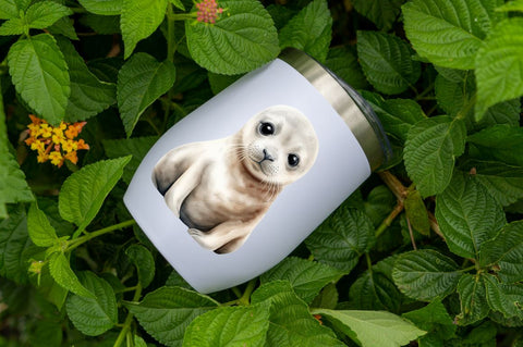 Baby Seal Watercolor Sublimation Clipart Sublimation Regulrcrative 