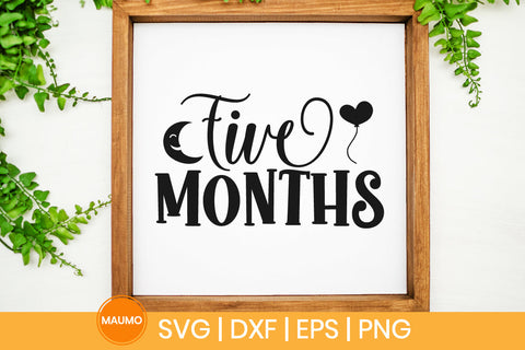 Baby svg quote, Five months birthday SVG Maumo Designs 