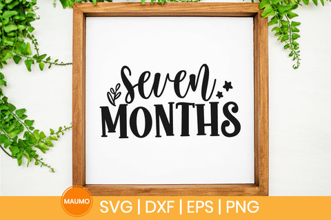 Baby svg quote, Seven months birthday SVG Maumo Designs 