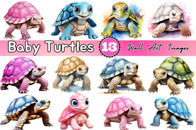 Baby Turtles Wall Art Images Bundle Sublimation Regulrcrative 