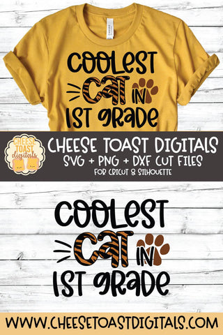 Back to School SVG | Coolest Cat in 1st Grade SVG Cheese Toast Digitals 
