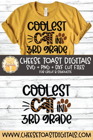 Back to School SVG | Coolest Cat in 3rd Grade SVG Cheese Toast Digitals 