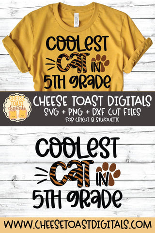 Back to School SVG | Coolest Cat in 5th Grade SVG Cheese Toast Digitals 