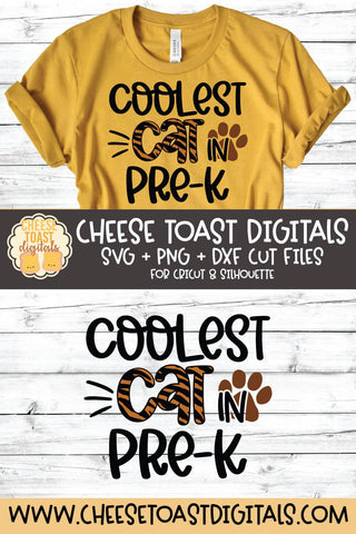 Back to School SVG | Coolest Cat in Pre-K SVG Cheese Toast Digitals 