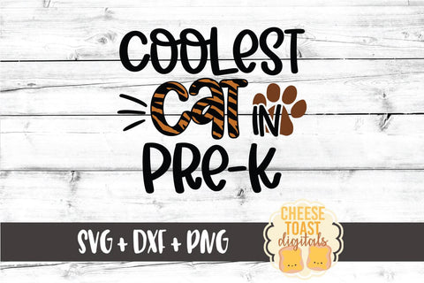 Back to School SVG | Coolest Cat in Pre-K SVG Cheese Toast Digitals 
