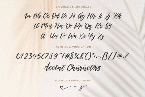 Backhome Modern Handdrawn Font Font Balpirick 