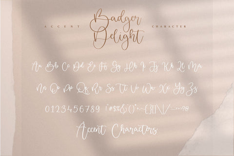 Badger Delight Modern Monoline Script Font Font Letterative 