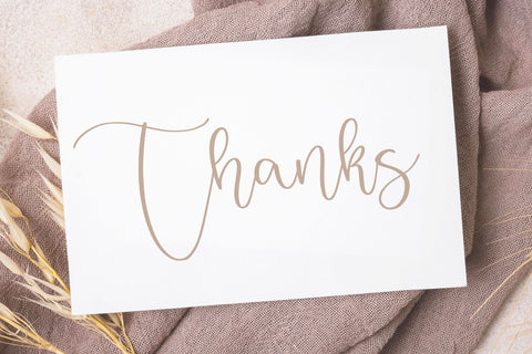 Badger Delight Modern Monoline Script Font Font Letterative 