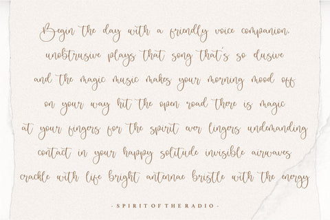 Badger Delight Modern Monoline Script Font Font Letterative 