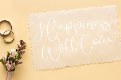 Badger Delight Modern Monoline Script Font Font Letterative 