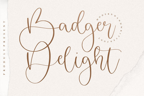 Badger Delight Modern Monoline Script Font Font Letterative 