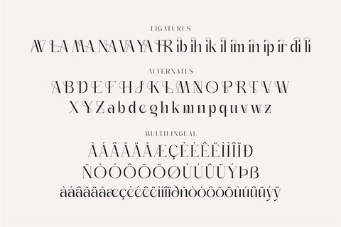 Badgline Typeface Font Storytype Studio 