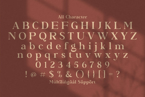 Bagator - Classic Serif Font Font StringLabs 