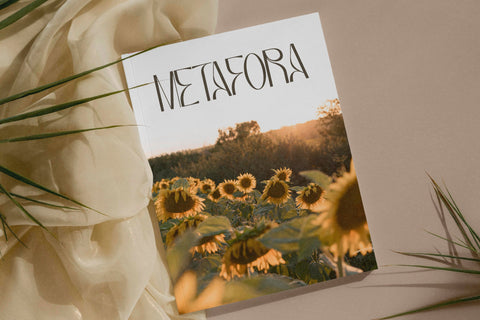 Bagias Typeface Font Storytype Studio 