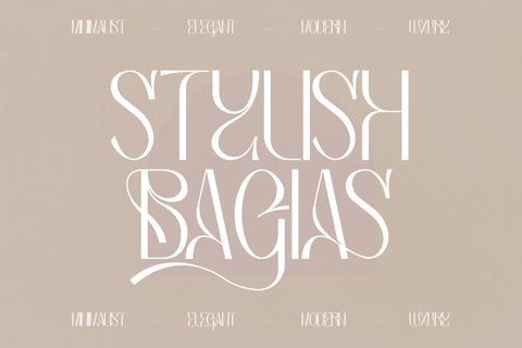 Bagias Typeface Font Storytype Studio 