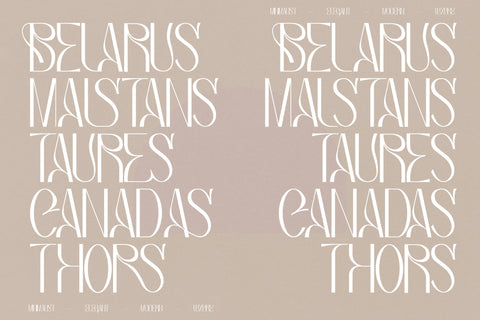Bagias Typeface Font Storytype Studio 