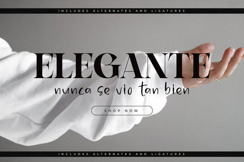 Bagife Typeface Font Storytype Studio 