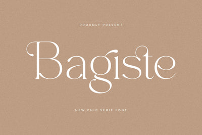 Bagiste Typeface Font Storytype Studio 