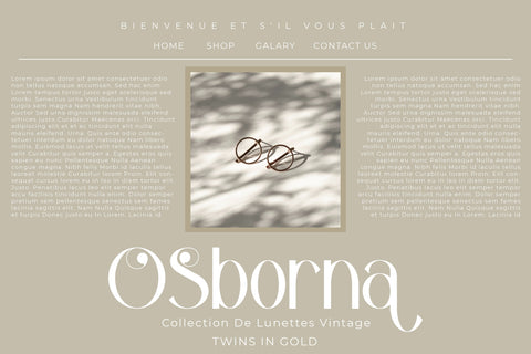 Bagola Typeface Font Storytype Studio 