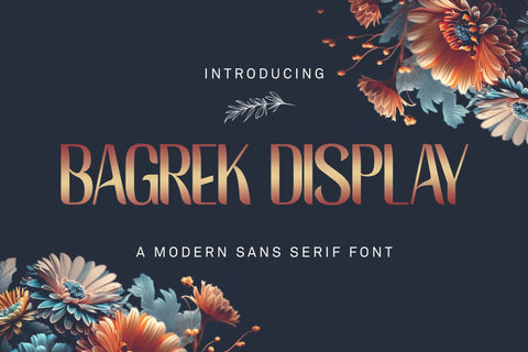 BAGREK DISPLAY - Sans Serif Font Font StringLabs 