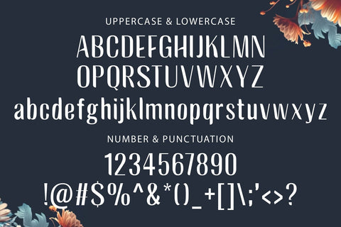 BAGREK DISPLAY - Sans Serif Font Font StringLabs 