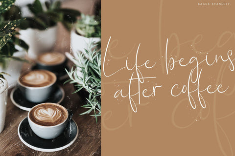 Bagus Stanlley - Stylish Script Font Font StringLabs 