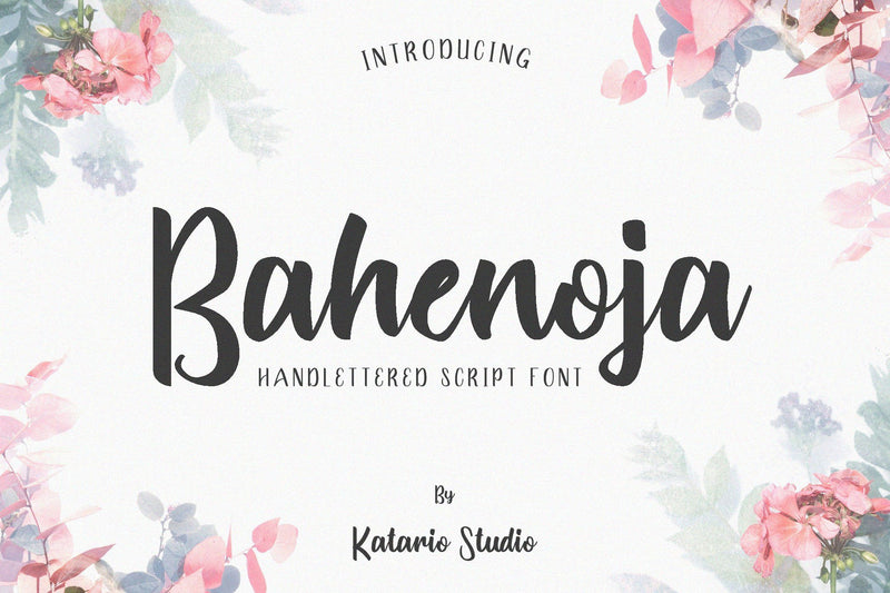 Bahenoja | Handwritten Script Font Font Katario Studio 